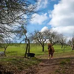 Odenwald